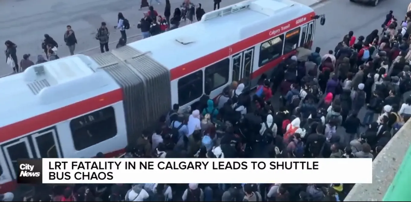 Canada Officially Became A Shit-Hole